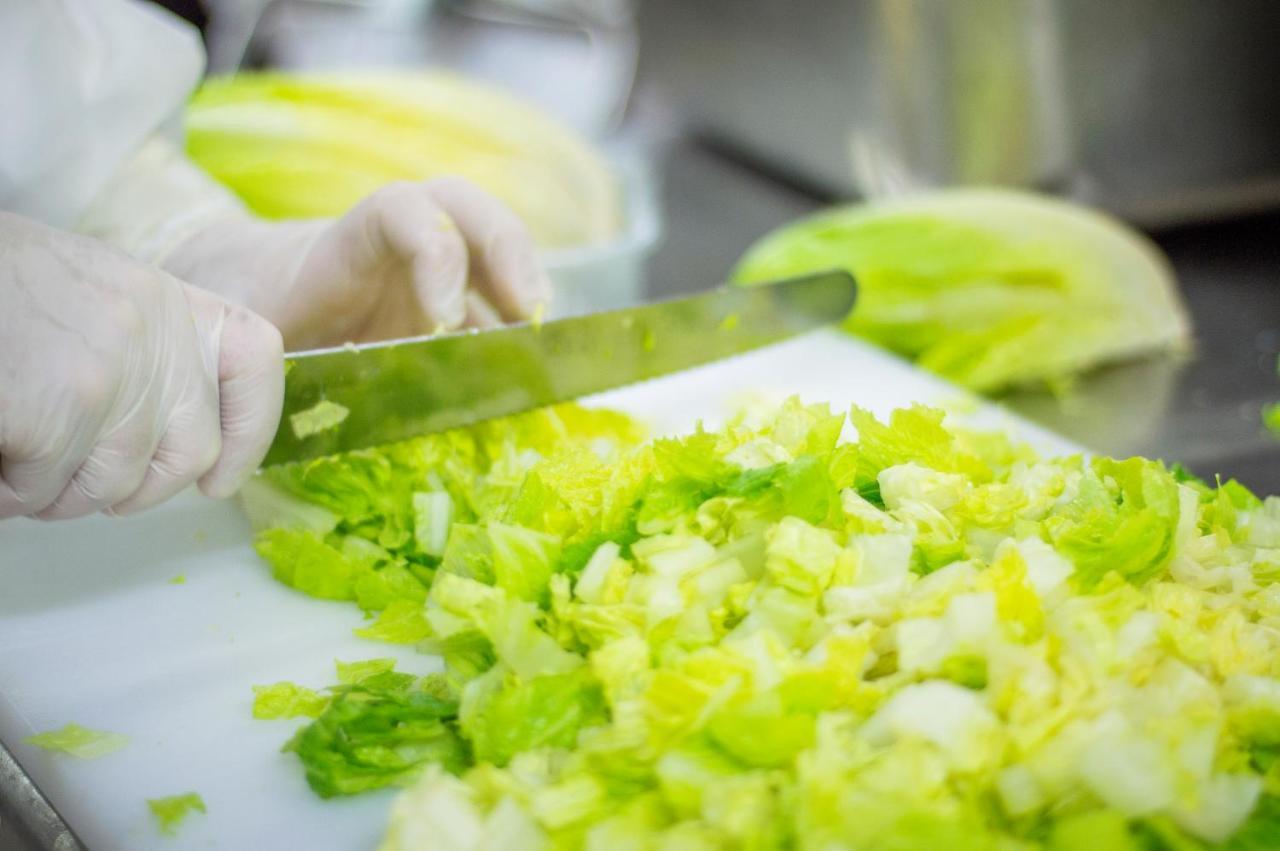 Novotel Goa Candolim Exterior photo Preparation of lettuce